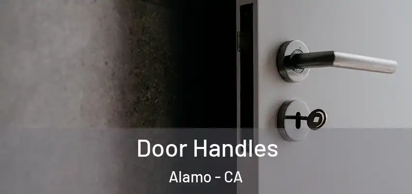  Door Handles Alamo - CA