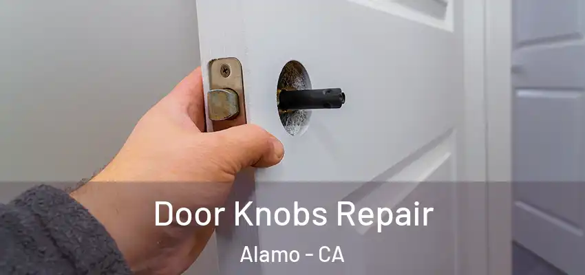  Door Knobs Repair Alamo - CA