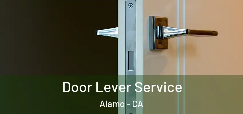  Door Lever Service Alamo - CA