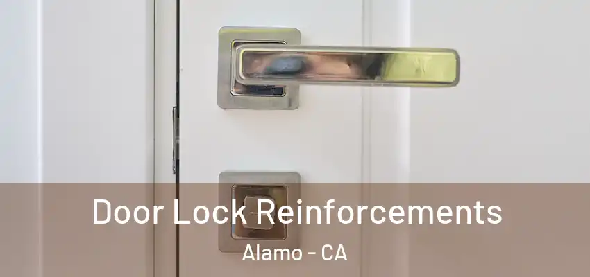  Door Lock Reinforcements Alamo - CA