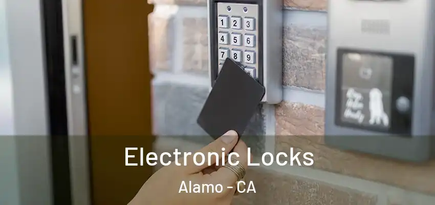 Electronic Locks Alamo - CA
