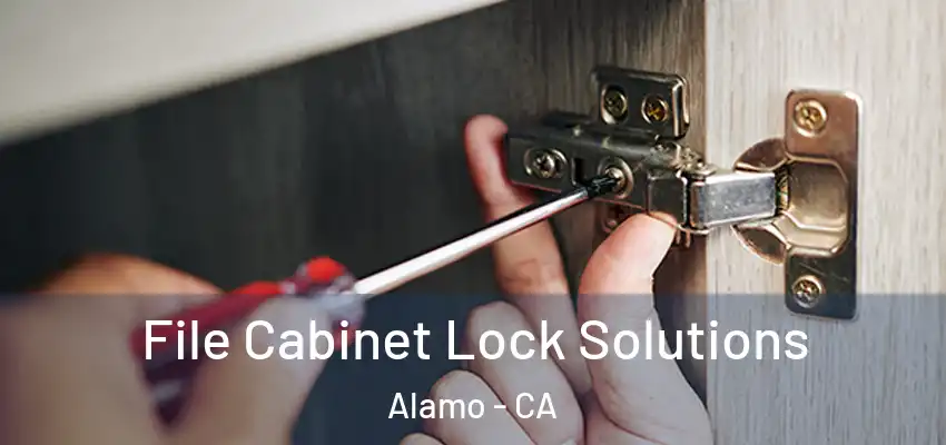  File Cabinet Lock Solutions Alamo - CA