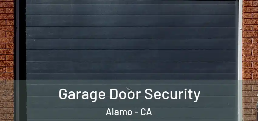  Garage Door Security Alamo - CA