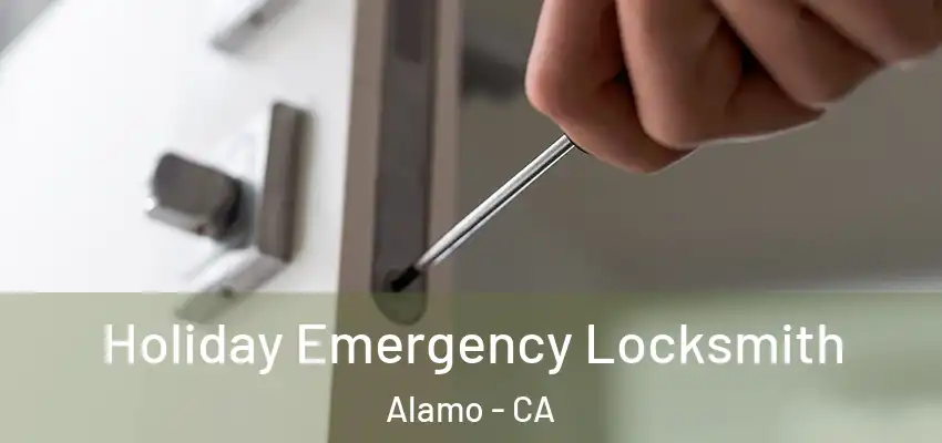  Holiday Emergency Locksmith Alamo - CA