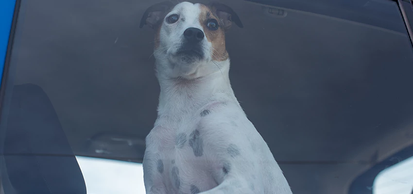 Car Lockout Solutions in Alamo, California