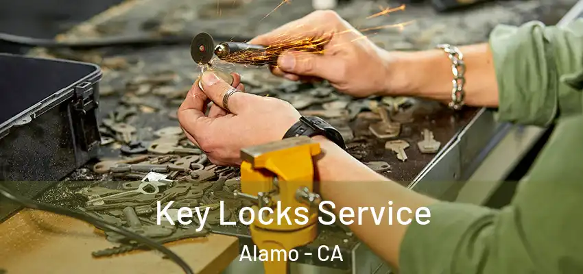  Key Locks Service Alamo - CA