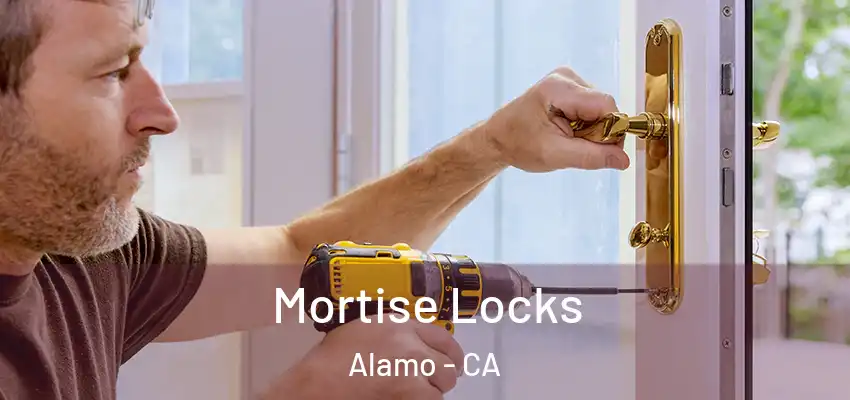  Mortise Locks Alamo - CA