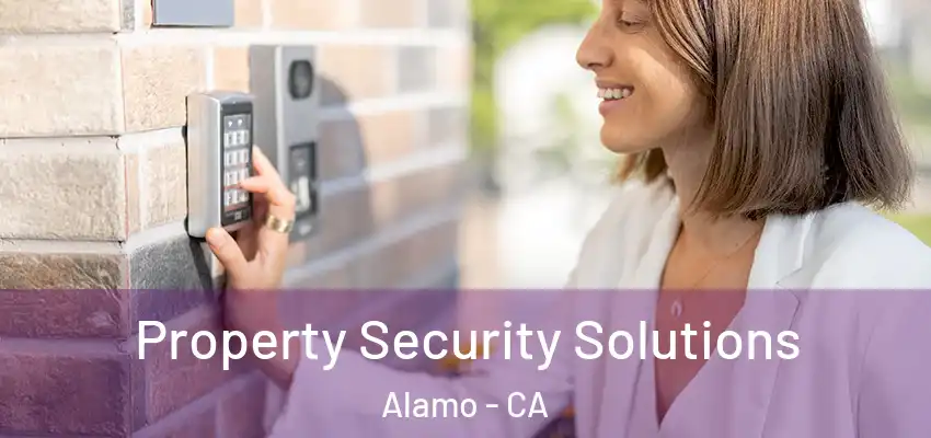  Property Security Solutions Alamo - CA