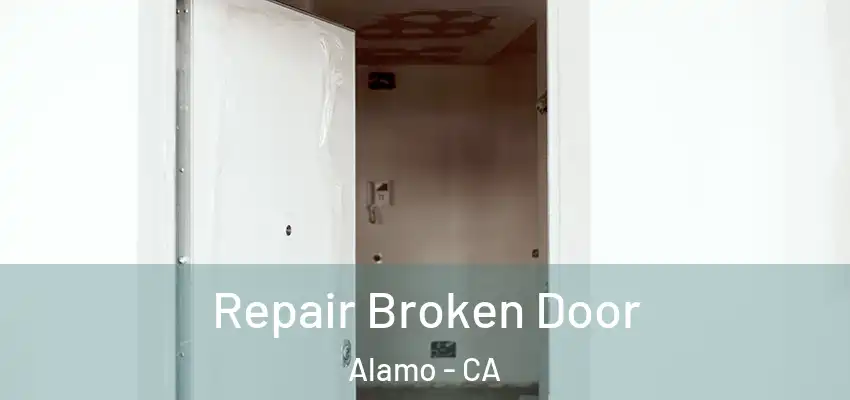  Repair Broken Door Alamo - CA