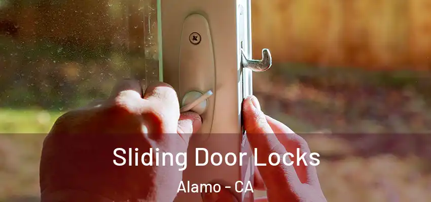  Sliding Door Locks Alamo - CA